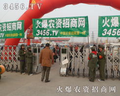 r(nng)Y̾W(wng)(zhn)ʿSˬӢ˸Ⱦÿһ(g)