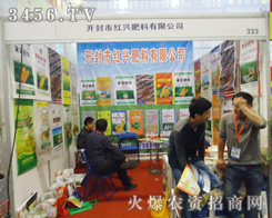 2013ݷp(hu)ɹ_Ļ_мtdϞȲ