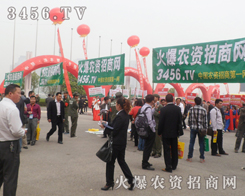 SRһr(nng)YW(wng)䮔(dng)tٳɺ