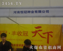 ϺڷNI(y)2013ļNӕ(hu)(sh)