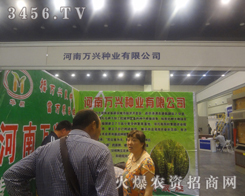 NI(y)cs2013ݷNӽו