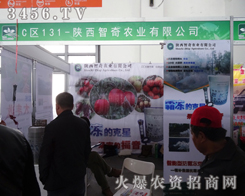 r(nng)I(y)ꖷϕûA(ch)