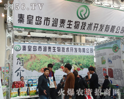 ػʍuН(rn)̩2014ɽ|(j)ֲ(hu)