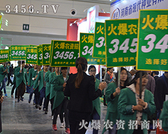 𱬾W(wng)2015r(nng)ˎ(hu)