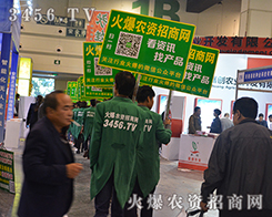 ͣeOϵĻr(nng)Y̾W(wng)(zhn)ʿ