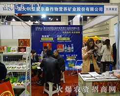 18úr(nng)ˎ(hu)ĴɭAˡɹδ(li)