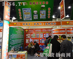 мZM(mn)}(cng)ֵه(li)Ʒ