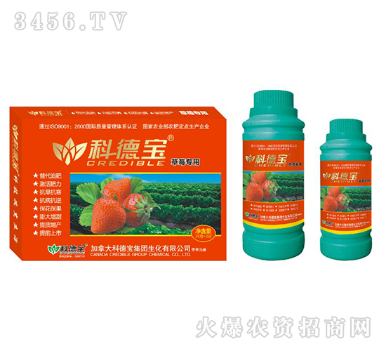 ݮàIB(yng)a(chn){(dio)턩-Ƶ