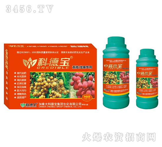 ֦یàIB(yng)a(chn){(dio)턩-Ƶ