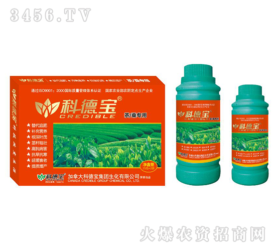 ɣàIB(yng)a(chn){(dio)턩-Ƶ