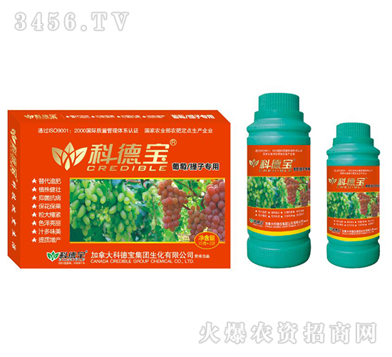 ӌàIB(yng)a{턩-Ƶ