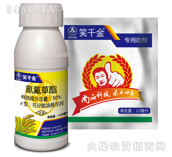 30%+(zhun)-Цǧ-к_(d)