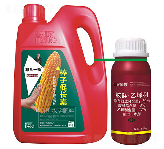 װӴL(zhng)أ~ͣ-Ƿһƿ-(gu)H