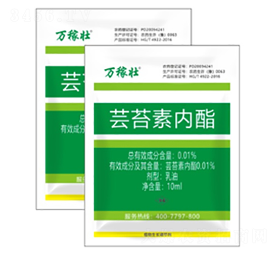 |̦؃(ni)-fډ-r(nng)_(d)