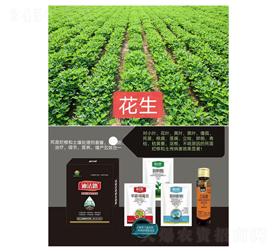 砀Mײͣ(zhun)ã-Ϸ·-ZM