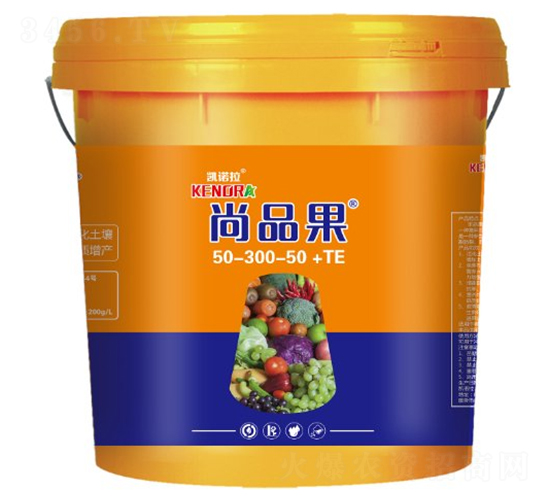 Ҹ50-300-50+TE-Ʒ-PZ