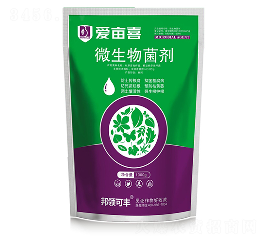 ΢-(i)ϲ-I(lng)r(nng)I(y)