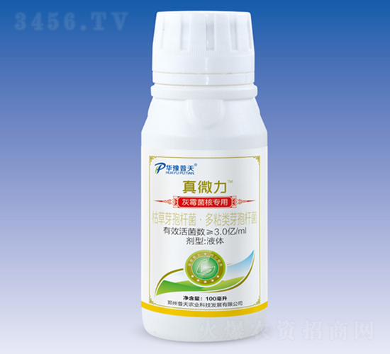 ˻ù(zhun)΢-΢-r(nng)I(y)