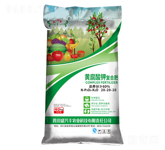 S⛏ͺϷ20-20-20-ʢS׻