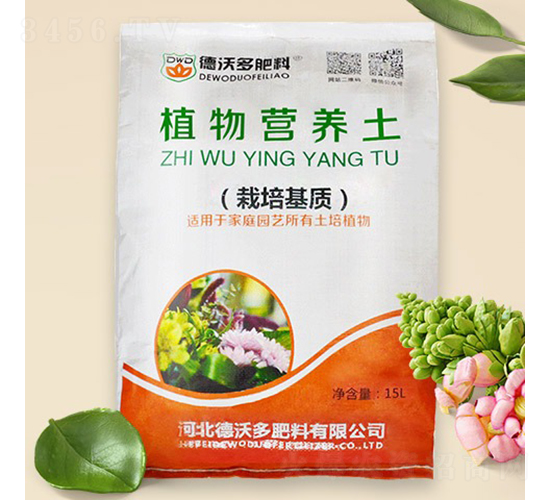 M(jn)̿I(yng)B(yng)-ֶ