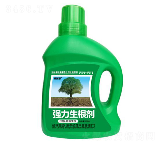 1000mlǤ塤-ֱķ-Tַ