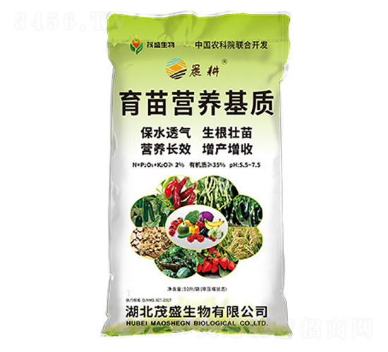 I(yng)B(yng)|(zh)--ïʢ