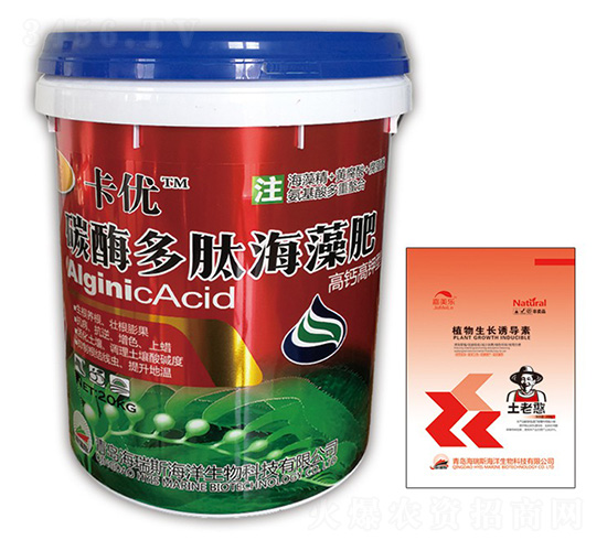 (yu)̼øĺ-(yu)-(l)-˹