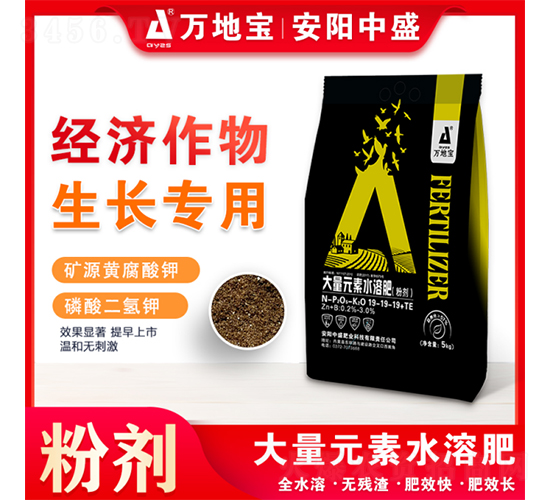 Lˮܷ19-19-19+TE-f،-ʢ