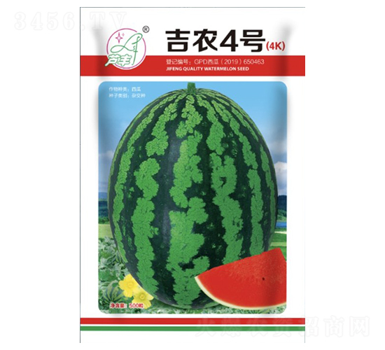 r(nng)4̖(ho)-ϷN-SNI(y)