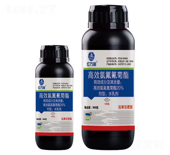 20%Чȷ-tf-l(xing)弾L-˹r(nng)