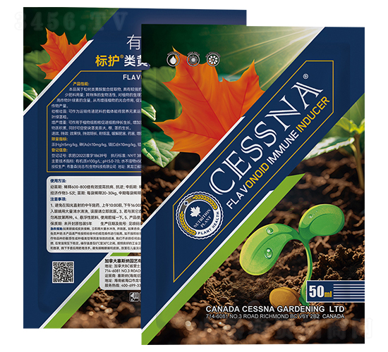 SͪT(do)-(bio)o(h)-ЅRr(nng)I(y)