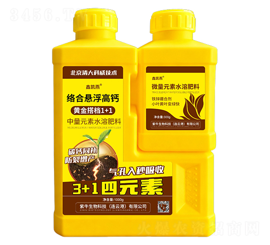 jϑҸ}+F\τ-΄P-Ą(chung)ţ