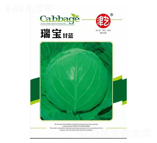 ���{�N��-�������{-���S�r�I(y��)