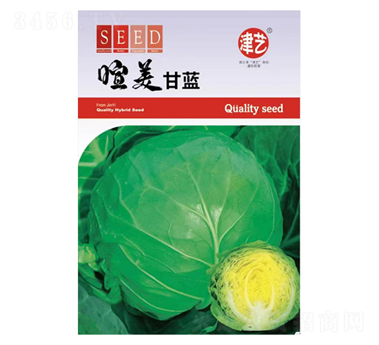 ���{(l��n)�N��-�������{(l��n)-���S�r(n��ng)�I(y��)