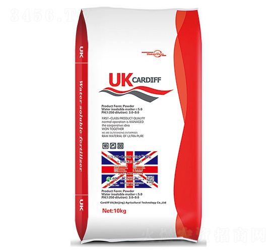 Ӣ(gu)UK-CardiffϷ-Ϸ