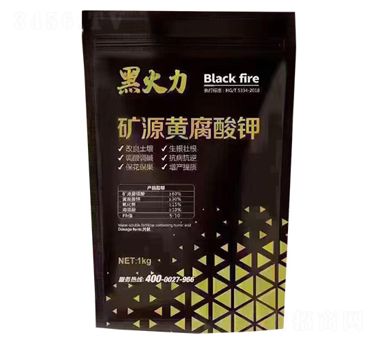 VԴS-ڻ-֠r(nng)I(y)