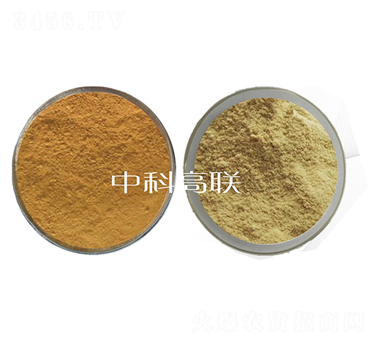 ~(y)ø1̖(ho)+2̖(ho)ˮø-˹r(nng)