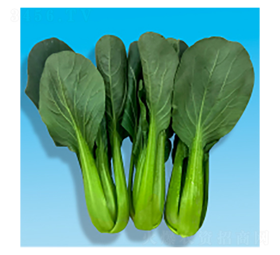 ๣˷N-LL(fng)-A孷NI(y)