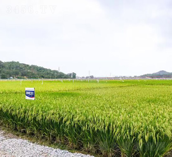 Ƀ(yu)28-ˮN-𽡷NI(y)