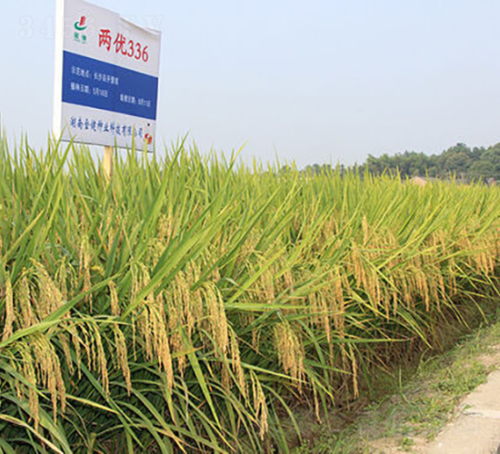 Ƀ(yu)336-ˮN-𽡷NI(y)