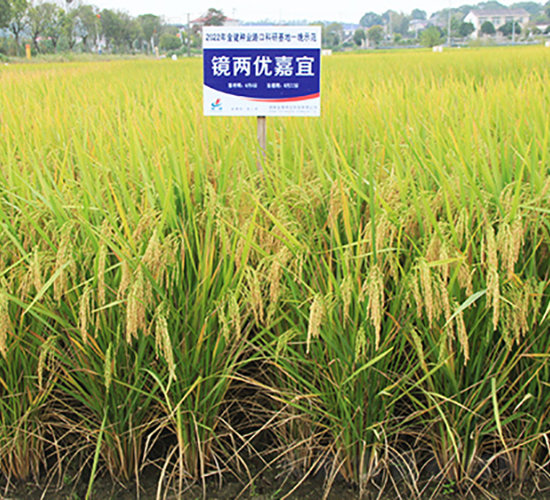 RɃ(yu)-ˮN-𽡷NI(y)