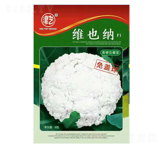 ˷N-SҲ{-Sr(nng)I(y)