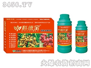 ֦یàIB(yng)a(chn){(dio)턩-Ƶ