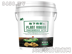 Koa(chn)-1̖(ho)-Դ