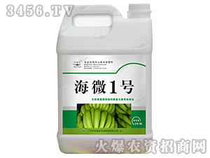 ΢Ԫˮܷ-΢1̖(ho)-r(nng)