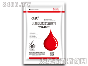 幦ʹԪˮܷ12-6-42+TE-|