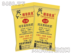 SЙC-(yu)(yu)-ţʘI(y)