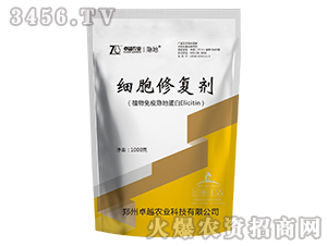 1000g(x)ޏ(f)-׿Խr(nng)I(y)