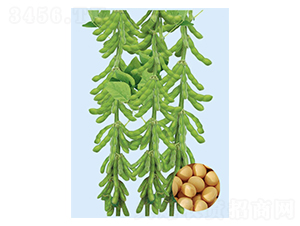 һ̖(ho)-󶹷N-SNI(y)