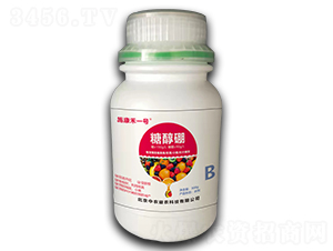 Ǵ-ʩһ̖-r(nng)r(nng)